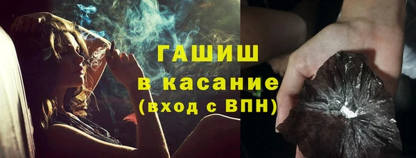 сатива Верея