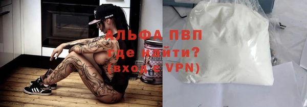 сатива Верея