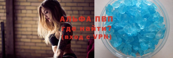 сатива Верея