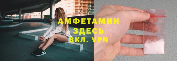 сатива Верея