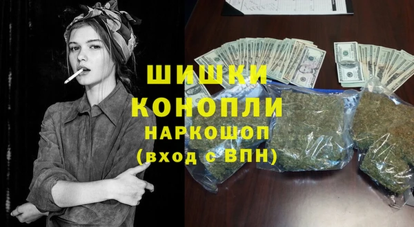сатива Верея